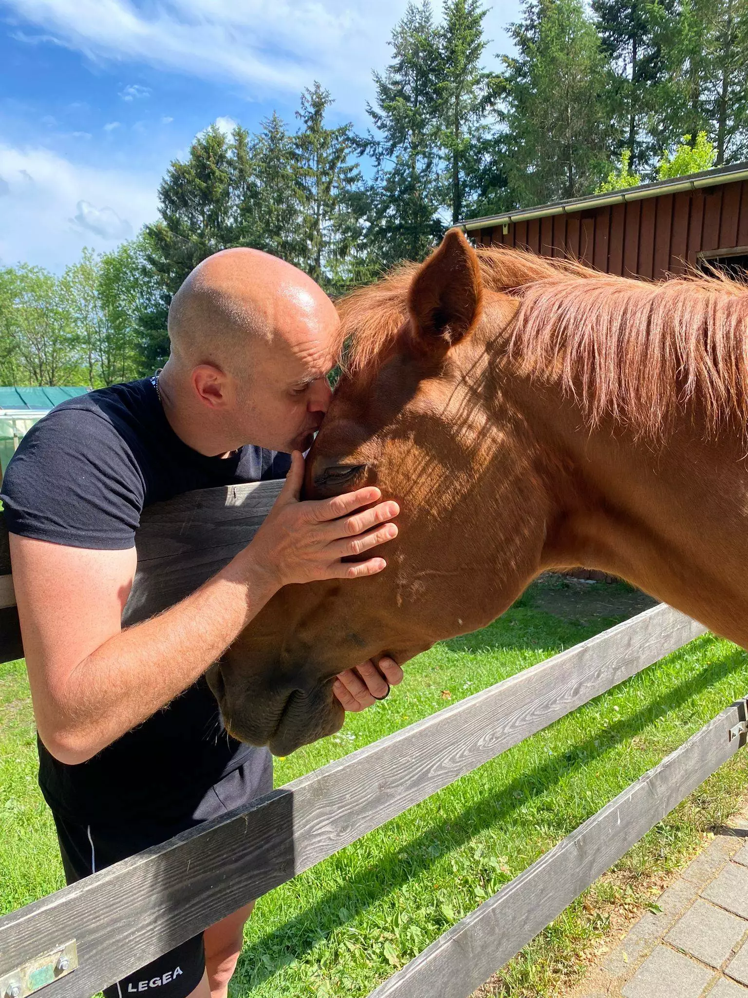 YOU ARE THE ONE
14.4.97 - 23.8.25 ASunday ( Lady ) das beste Pferd der Welt 🤝

Was für eine Seele, danke das du so lange in meinem Leben gewesen bist, einfach nur DANKE! ❤️
Mit dir habe ich alles erreicht. Von dir habe ich alles gelernt. Wir waren ein Team und super erfolgreich,  aber viel wichtiger, ich konnte mich immer auf dich verlassen und liebte dich unfassbar !

Danke für 26 wunderbare Jahre, ich werde keine Sekunde vergessen! 
Meine Gebete wurden erhört und du hattest nochmal einen Sommer , mein Sonnenkind ! 
Ich liebe dich ❤️🌈